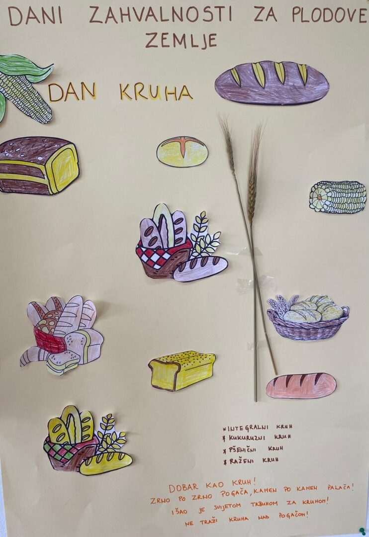 WhatsApp Image 2025-10-22 at 15.45.51